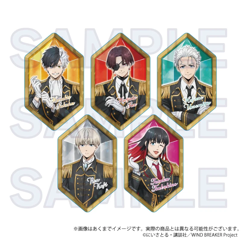 (Goods - Card) WIND BREAKER Trading Holographic Acrylic Card Knight Ver. (Blind Box -Single)