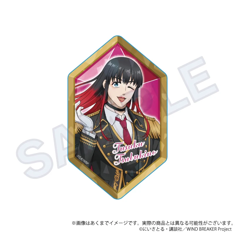 (Goods - Card) WIND BREAKER Trading Holographic Acrylic Card Knight Ver. (Blind Box -Single) - Image 6