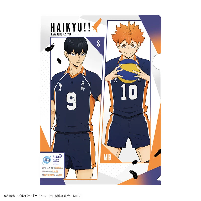 [Haikyu!!] File Folder / Karasuno High School